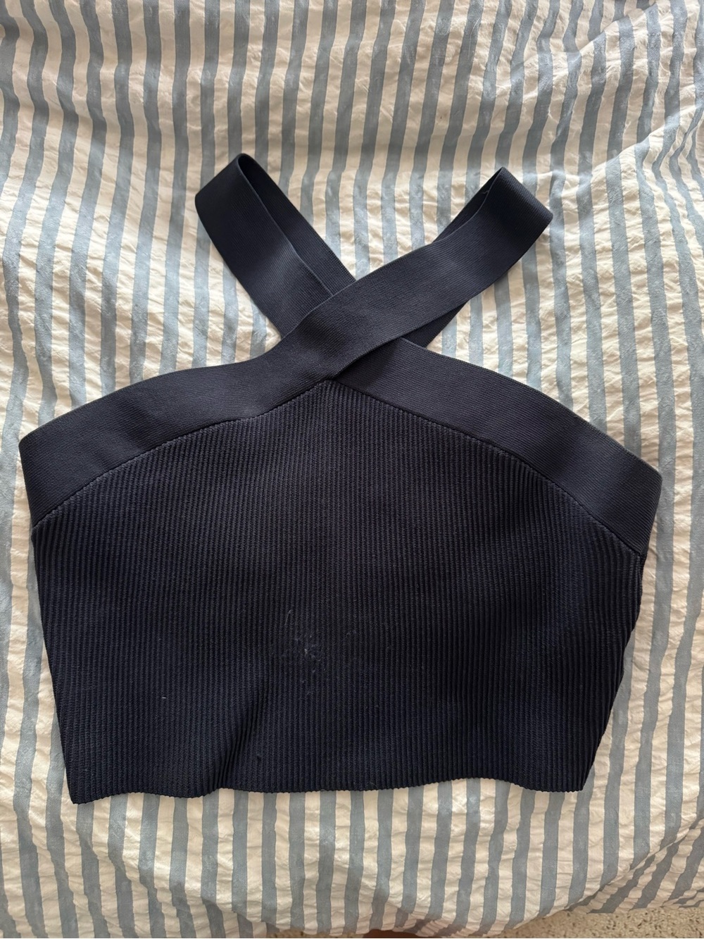 Aritzia Babaton halter neck top